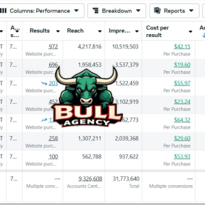 bull client spent.png