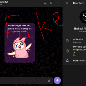 Fake SS.PNG