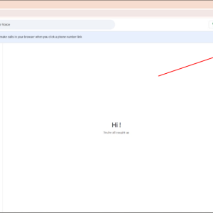 Business Google Voice_1.png