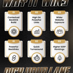High_Authority_Powerful_Wikipedia_Backlinks-01[1].jpg