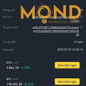 web 31-7-2025-1.jpg