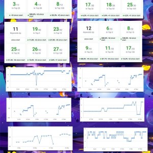 rankgraph (2).jpg