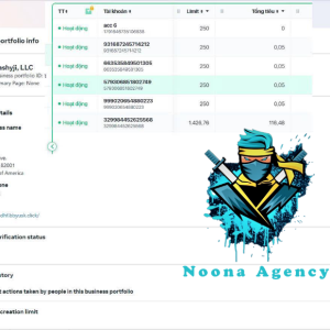⭐Noona Agency ( Facebook ADS ) BM Agency