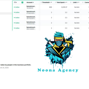 ⭐Noona Agency ( Facebook ADS ) BM Agency