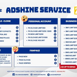 ADSHINE SERVICE (1).jpg