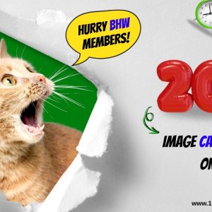 Title:  Solve 20,000 Image CAPTCHAs for Just $1 – Best Value, Great Performance!