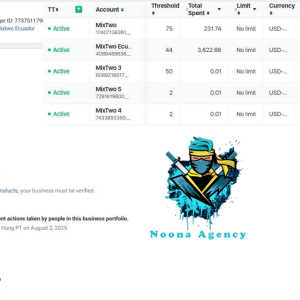 ⭐Noona Agency ( Facebook ADS ) Marketing Agency