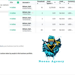 ⭐Noona Agency ( Facebook ADS ) Marketing Agency
