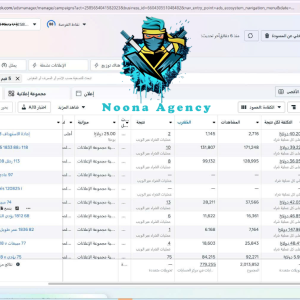 ⭐Noona Agency ( Facebook ADS ) Marketing Agency