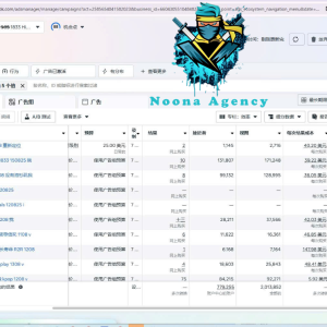 ⭐Noona Agency ( Facebook ADS ) Marketing Agency