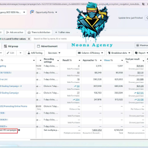 ⭐Noona Agency ( Facebook ADS ) Marketing Agency