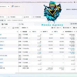 ⭐Noona Agency ( Facebook ADS ) Marketing Agency