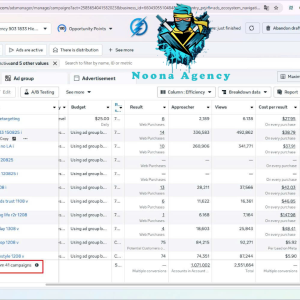 ⭐Noona Agency ( Facebook ADS ) Marketing Agency
