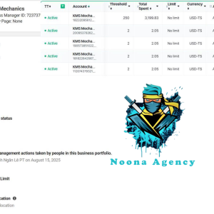 ⭐Noona Agency ( Facebook ADS ) Marketing Agency BM50