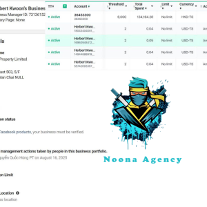 ⭐Noona Agency ( Facebook ADS ) Marketing Agency BM50
