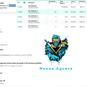 ⭐Noona Agency ( Facebook ADS ) Marketing Agency BM50
