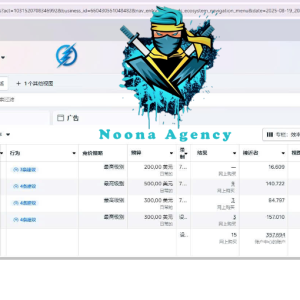 ⭐Noona Agency ( Facebook ADS ) Marketing Agency