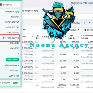 ⭐Noona Agency ( Facebook ADS ) Marketing Agency