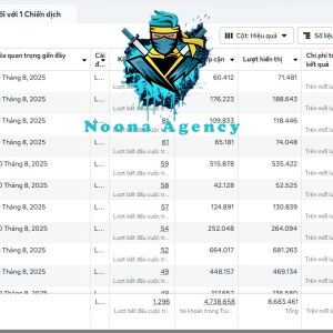 ⭐Noona Agency ( Facebook ADS ) Marketing Agency