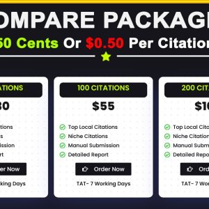 Affordable Manual Local Citations Packages