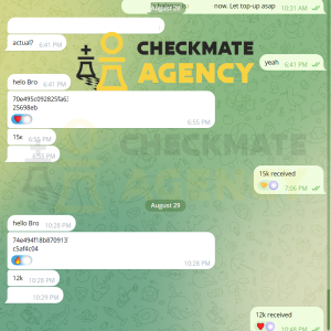 BILLS FROM CHECKMATE AGENCY