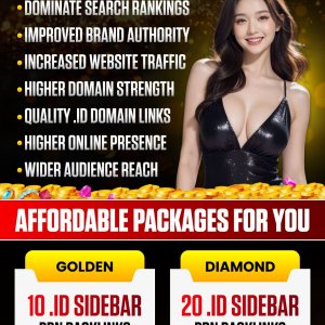 High Qulaity .id Sidebar PBN Backlinks-01 (2).jpg