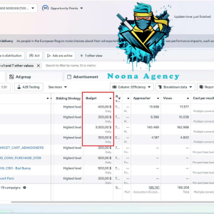 ⭐Noona Agency ( Facebook ADS ) Marketing Agency
