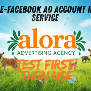 Rent Google Account & Facebook Account | Safe & Fast Service.png