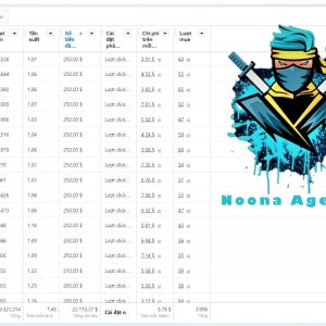 ⭐Noona Agency ( Facebook ADS ) Marketing Agency