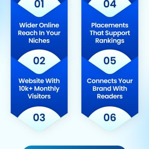 High Quality Guest post DA DR 50+ Traffic 10K+