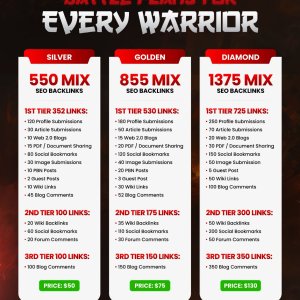 SEO Package-01 (2).jpg