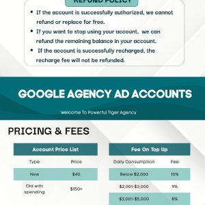 Google ads picture.jpg