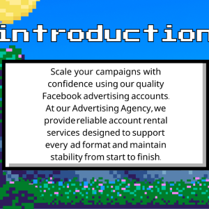 @fenditrip Verified Facebook BM Accounts for Rent & Sale | Business Manager Packages BM5 to BM2500.png