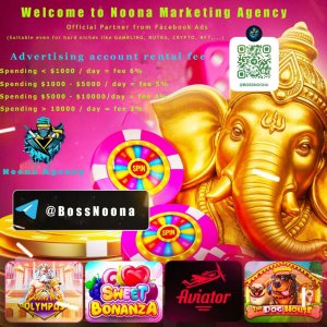 ⭐Noona Agency ( Facebook ADS ) Marketing Agency