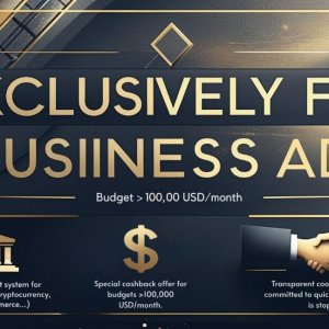 Budget  100,00 USDmonth.jpg