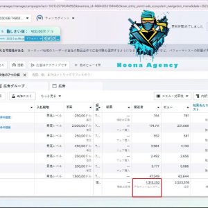 ⭐Noona Agency ( Facebook ADS ) Marketing Agency