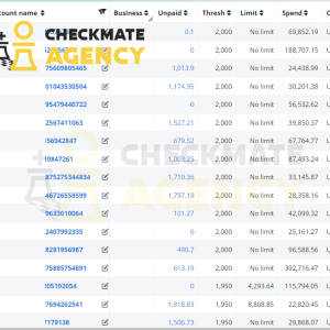 META AD ACCOUNTS IN BULK