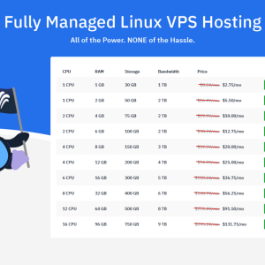 marketing-black-hat-world-images-linux-vps-hosting.png