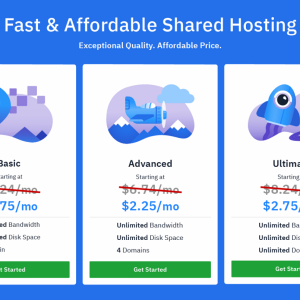 marketing-black-hat-world-images-shared-hosting.png