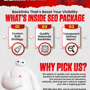 Big Hero SEO package.jpg
