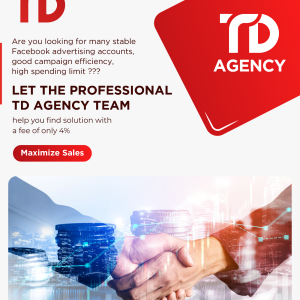 TD AGENCY (1).png