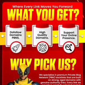 ⚡Boost Your Rankings ⚡❤️⚡With Powerful Sidebar OR Blogpost PBN Backlinks⚡❤️ UNIQUE DOMAINS⚡