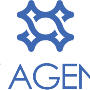 123LOGO SKY AGNECY.png