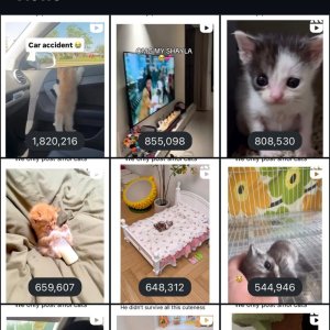 instagram account for sale1