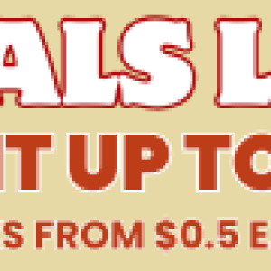 Black friday deal (3).png