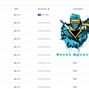 ⭐Noona Agency ( Facebook ADS ) Marketing Agency