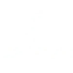 topboost.webp
