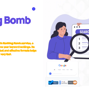 Monthly Link Building Service