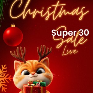 Wow That's Her - Christmas Sale 2025.jpg