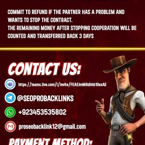pbn backlinks 3